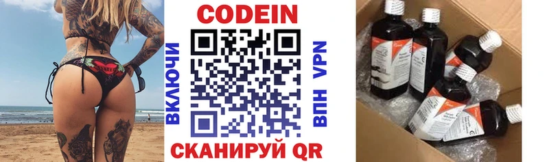 купить закладку  Петровск-Забайкальский  Codein Purple Drank 
